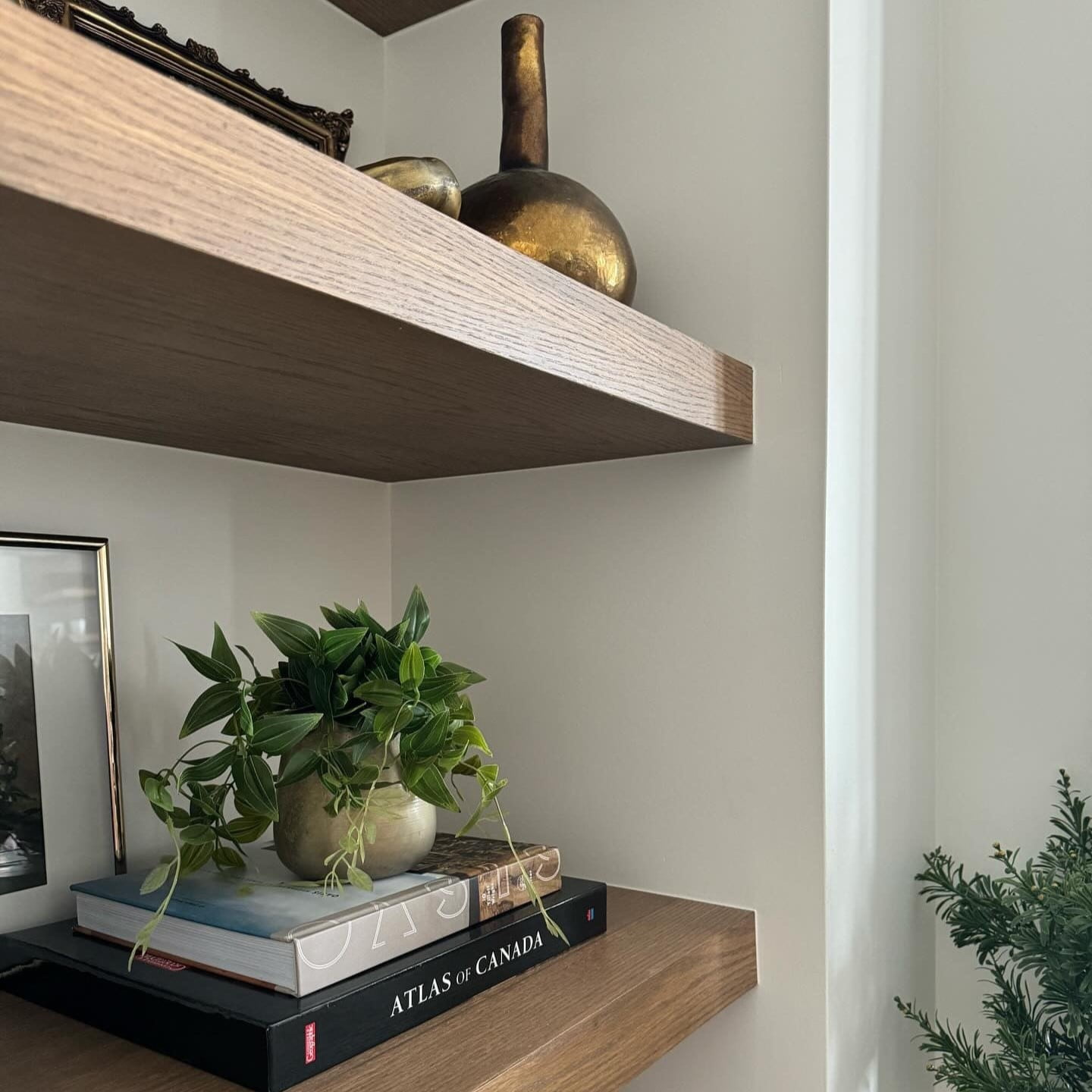 Tradescantia en pot sur tablette - Décors Véronneau