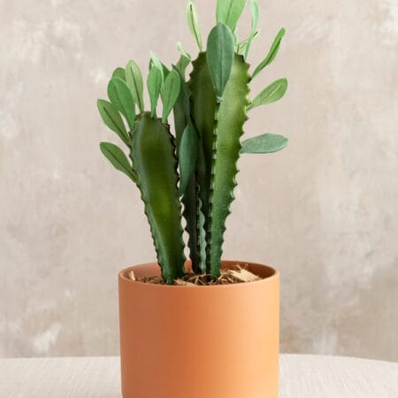 Artificial madagascar plant stem, 13'' - Décors Véronneau