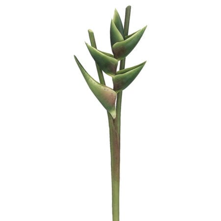 Fleur d'heliconia hawaïen vert artificiel, 38''