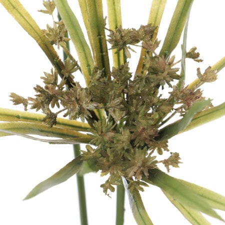 Tige double de papyrus artificiel, 36'' - Décors Véronneau