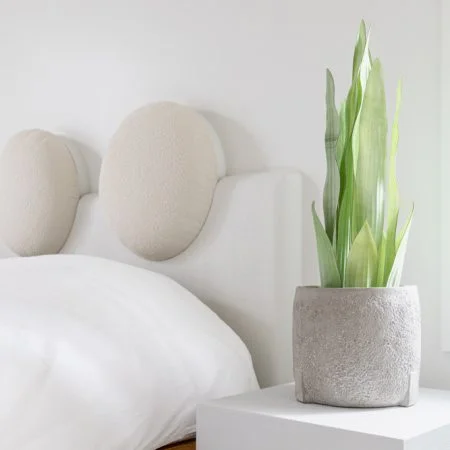 Sansevière moonshine artificielle, 25,5'' - Décors Véronneau