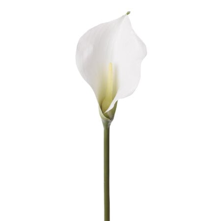 Fleur artificielle de lys calla blanc, 30''