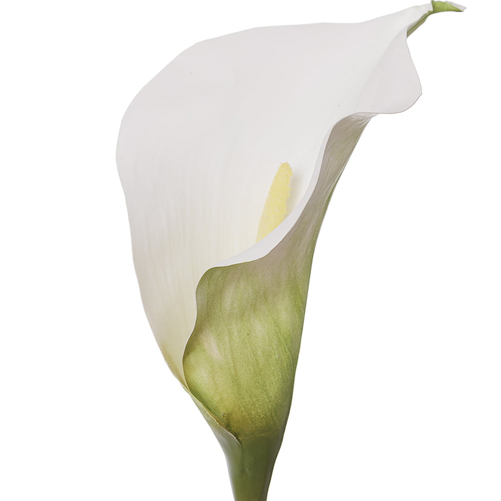 Fleur artificielle de lys calla blanc, 30'' – Image 2 - Décors Véronneau