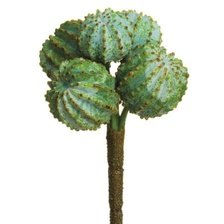 Tige de cactus barils verts artificiels, 6''