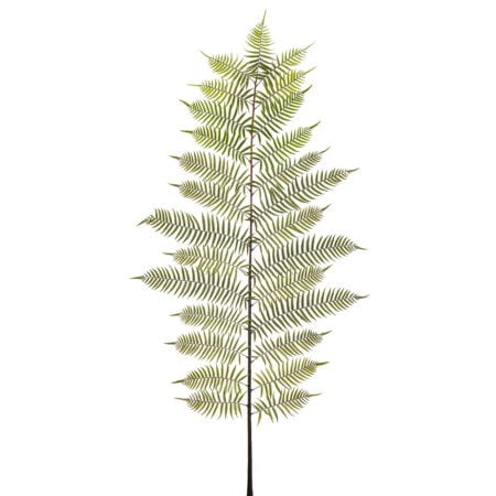 Artificial giant fern leaf stem, 109''