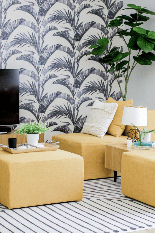 Plante verte ficus umbellata devant sofa jaune - Décors Véronneau