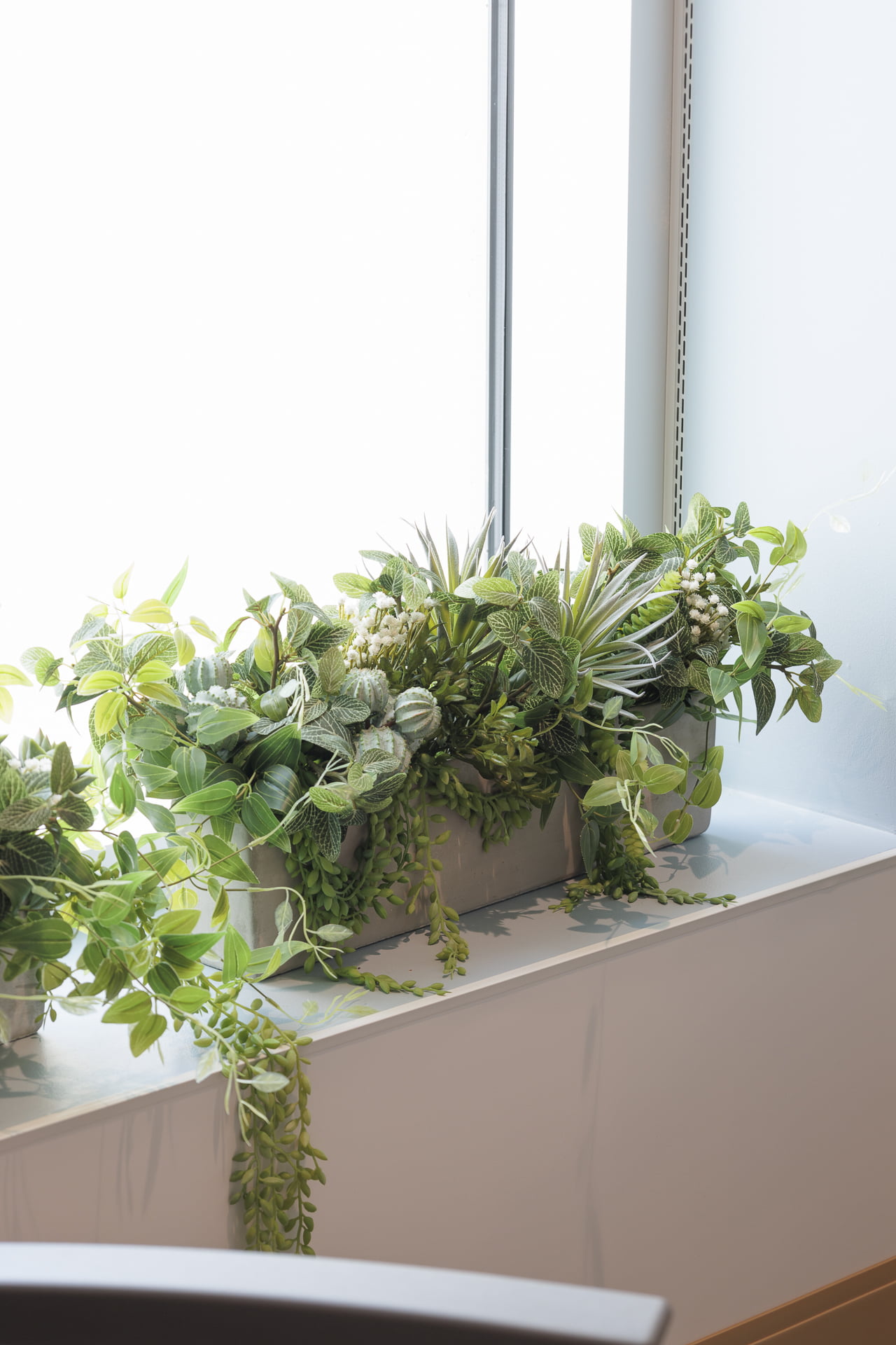 arrangement de succulentes, cactus et feuillage - Décors Véronneau