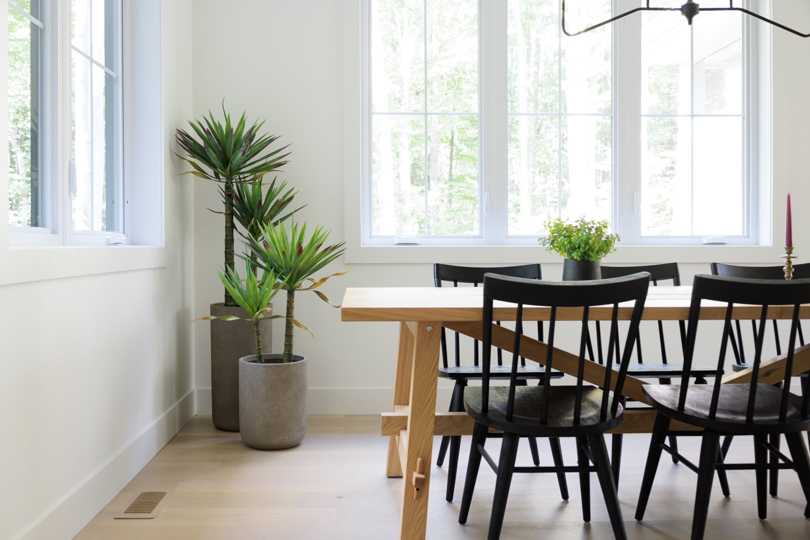 Agaves sur troncs - Décors Véronneau