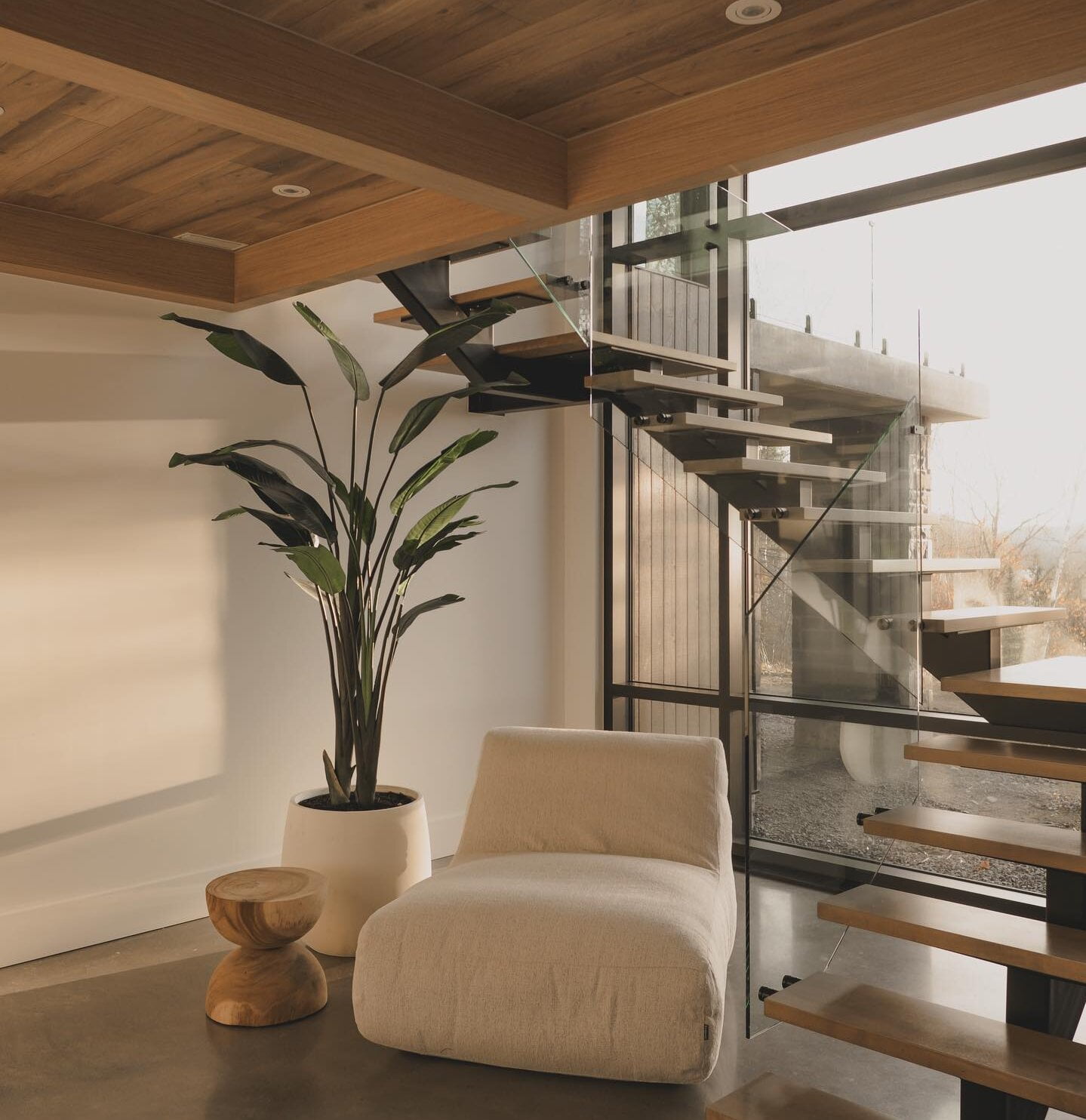 Oiseau du paradis chez Maegan - Décors Véronneau