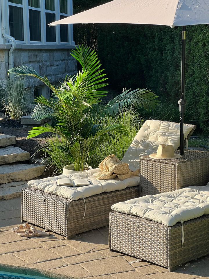 Palmier extérieur - Décors Véronneau