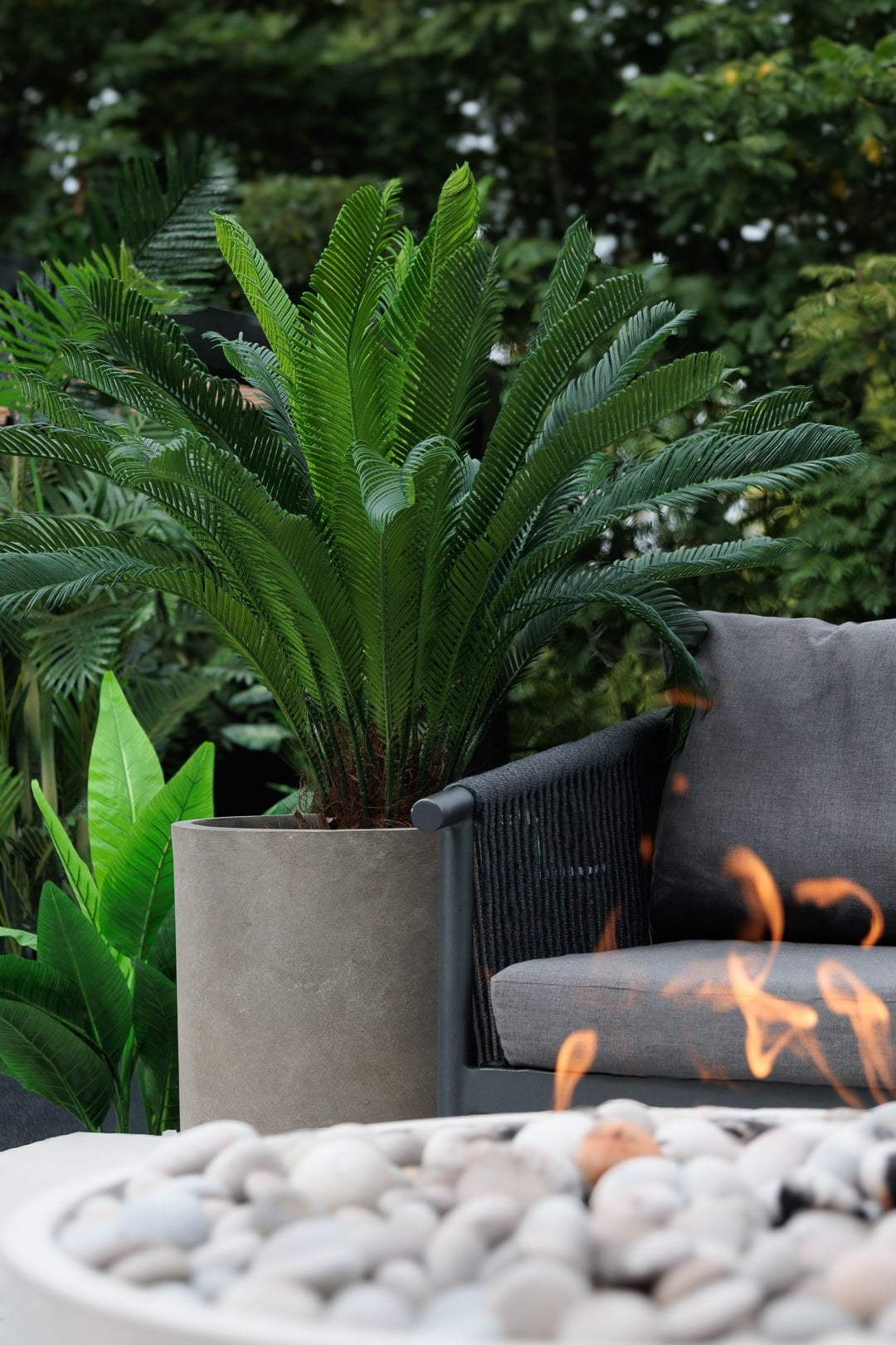 Cycas devant foyer - Décors Véronneau