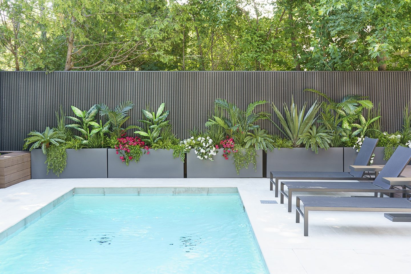 Bougainvillier suspendu extérieur, 30,5" – Image 5 - Décors Véronneau