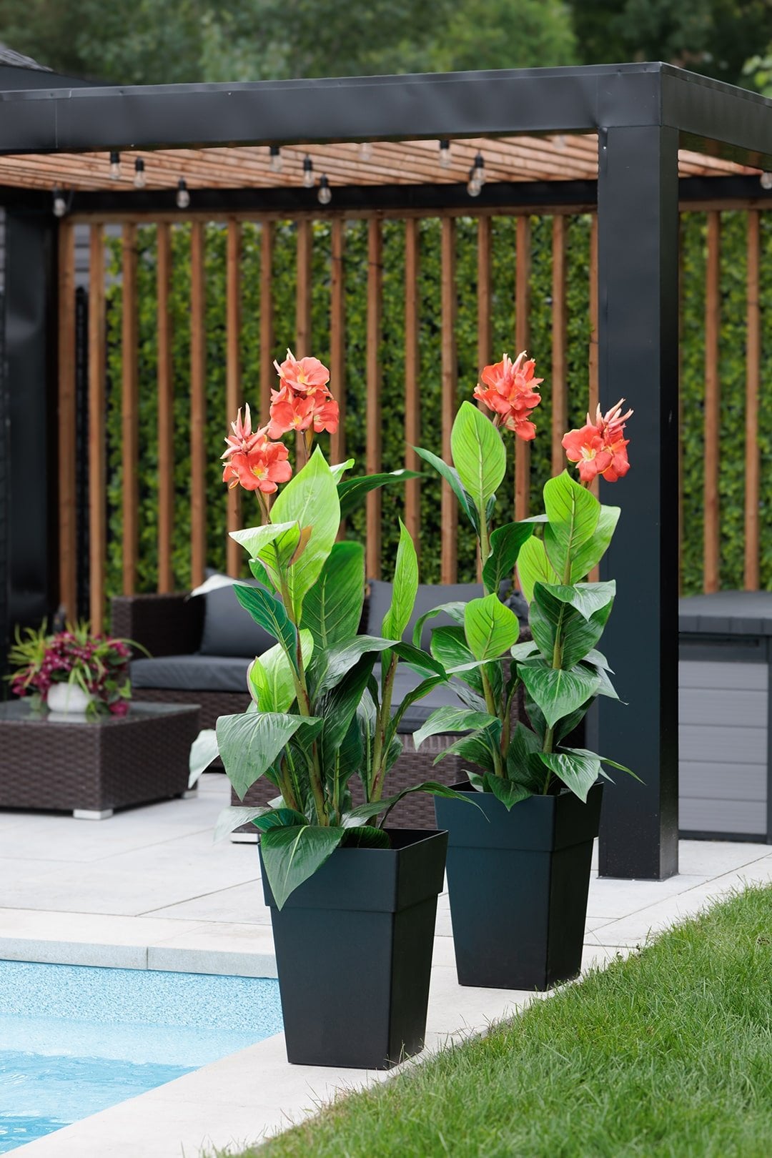 Canna rouge en pot - Décors Véronneau