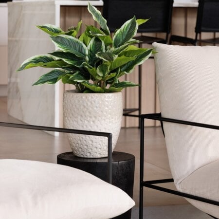 Two-tone embossed planter - Décors Véronneau