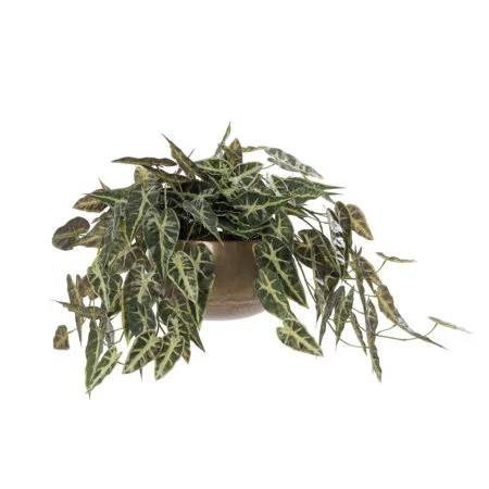 Artificial small begonia wall plant, 18 x 23''