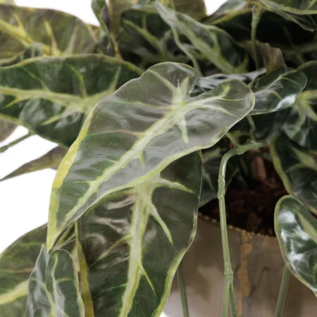 Artificial small begonia wall plant, 18 x 23'' - Décors Véronneau