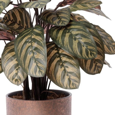 Artificial potted burgundy calathea, 30 x 22'' - Décors Véronneau