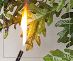 Test flamme ignifuge - Décors Véronneau