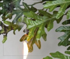 Test ignifuge 1 - Décors Véronneau