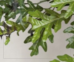 feuille ignifuge test 3 - Décors Véronneau