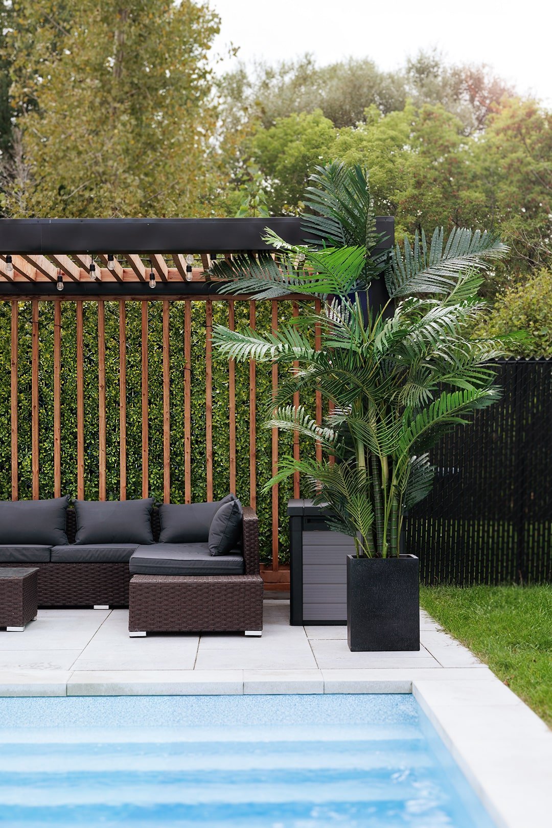 Pergola avec palmier et panneaux d'intimité en feuillage - Décors Véronneau