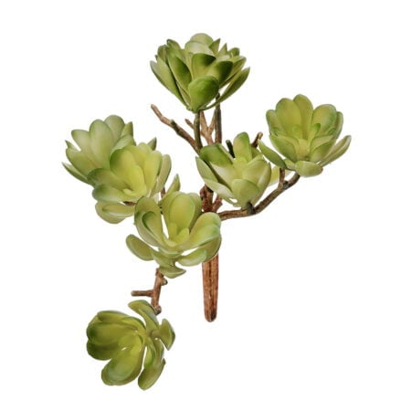 Mini succulente verte retombante artificielle, 5''