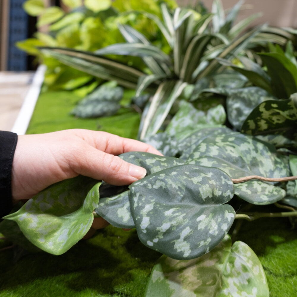 Mur ignifuge - Décors Véronneau