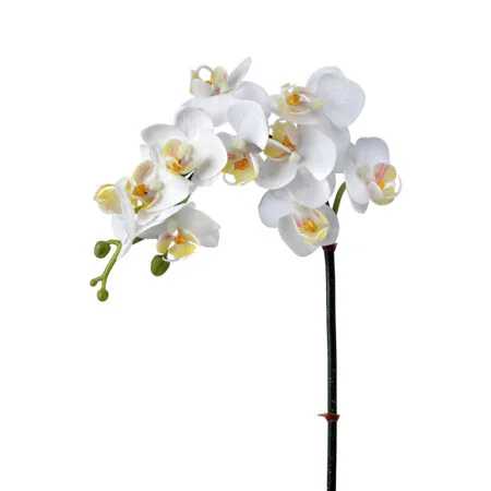 Orchidée phaleanopsis blanche fraîche artificielle, 24''