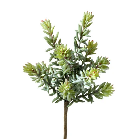 Pic de sedum album artificiel, 10''