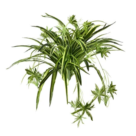 Real-touch artificial spider plant, 32''
