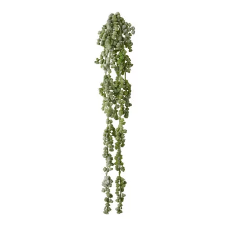 Sedum vert retombant au toucher réel, 19''