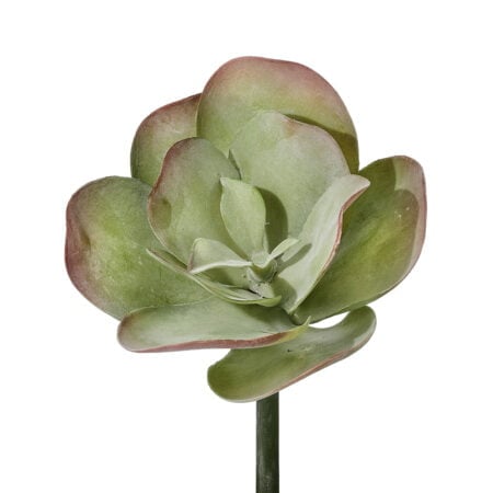 Succulente artificielle à larges feuilles vertes, 10''