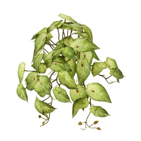 Real-touch artificial light green syngonium, 17''
