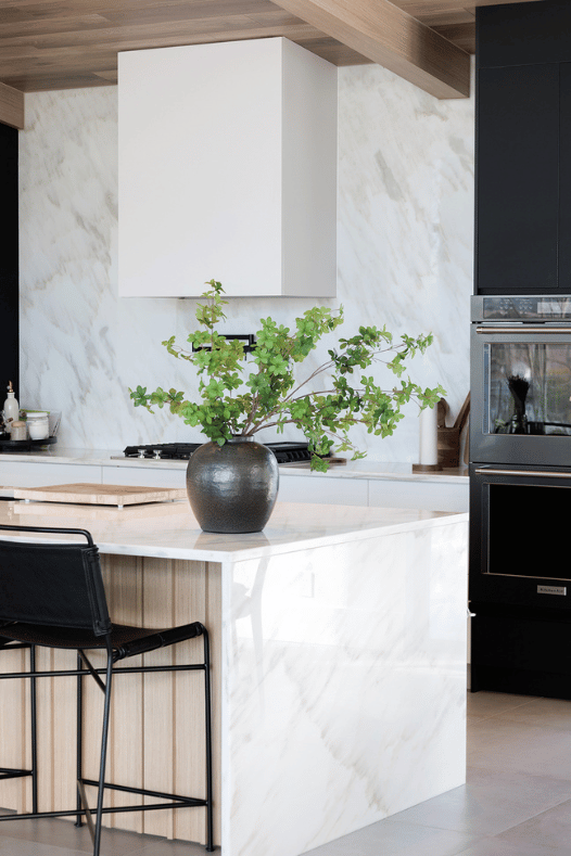 Branche de feuilles de printemps pittosporum dans une cuisine - Décors Véronneau