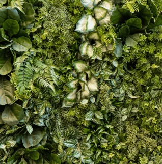 Détails mur végétal - Décors Véronneau