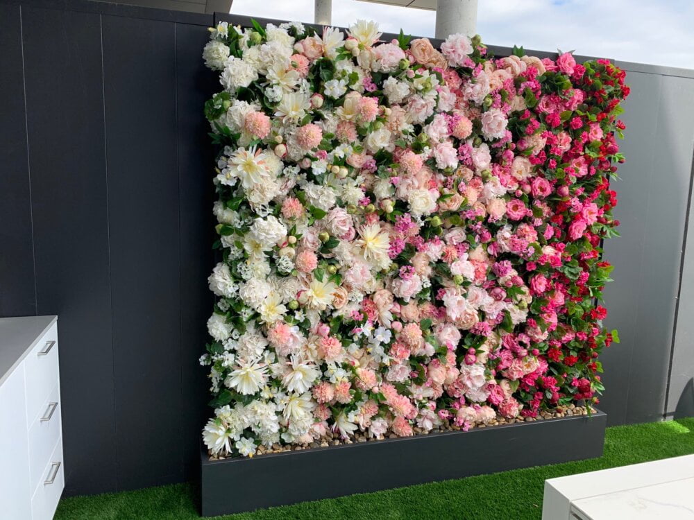 Pivoines fleurs sur mur végétal - Décors Véronneau