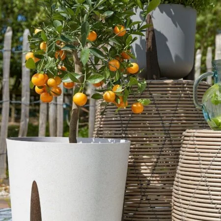 Cache-pot extérieur blanc sur pieds, 10 x 10'' - Décors Véronneau