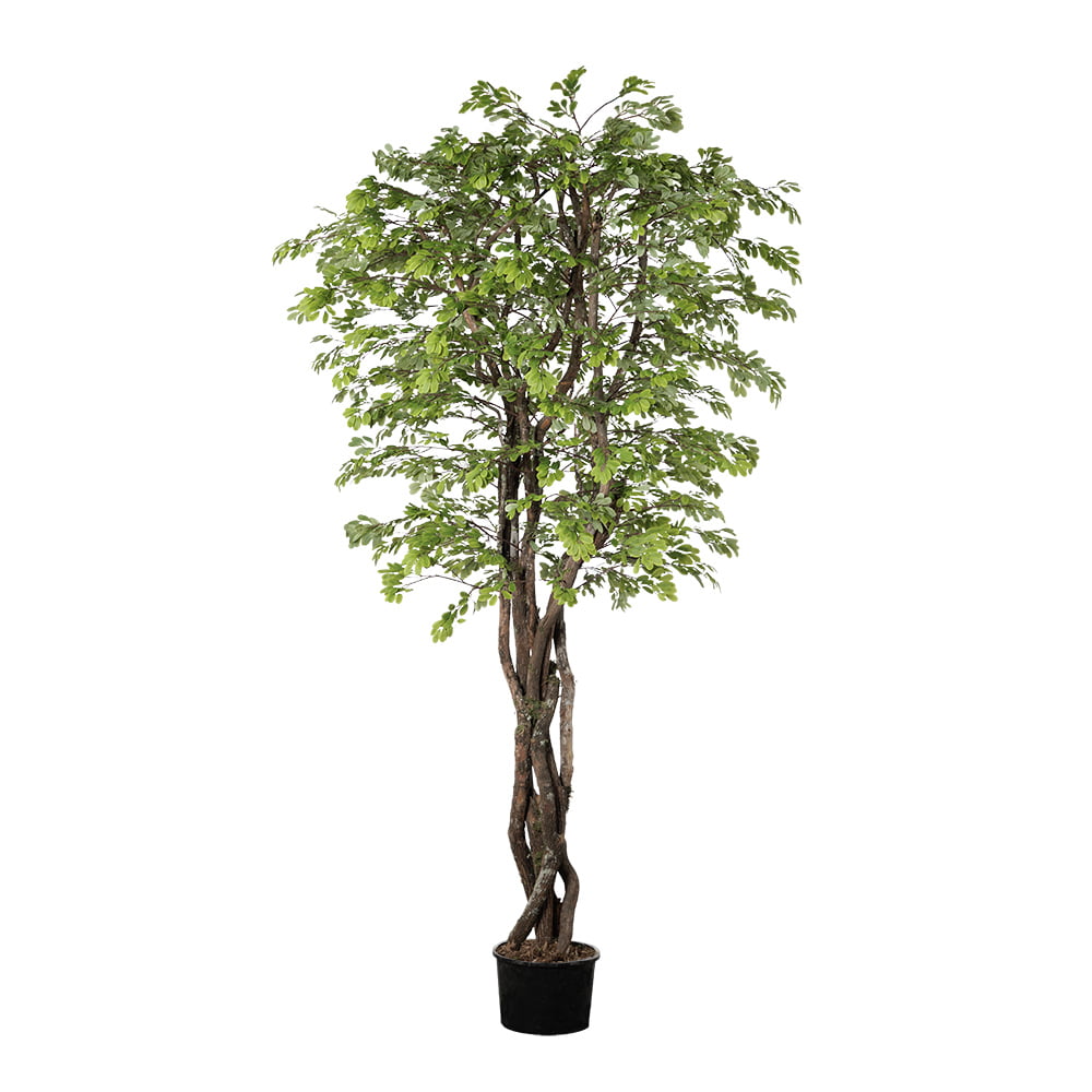 Arbre d'acacia artificiel fait main – Image 9 - Décors Véronneau