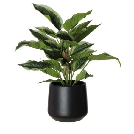 Artificial variegated aglaonema in a black pot