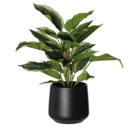 Aglaonéma panaché artificiel en pot noir