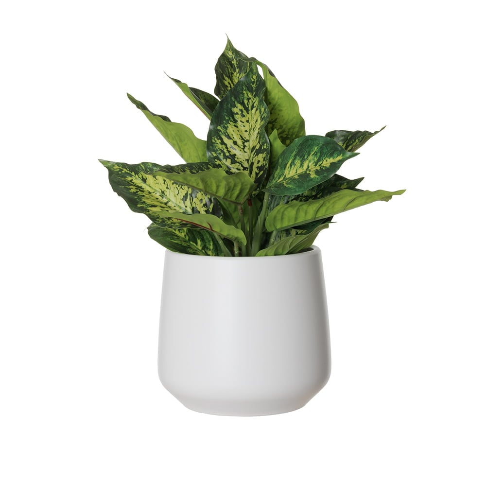 Aglaonéma vert artificiel en pot blanc - Décors Véronneau