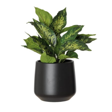 Aglaonéma vert artificiel en pot noir