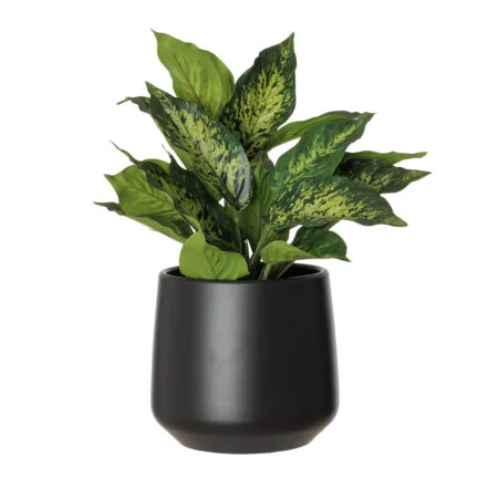 Artificial green aglaonema in a black pot