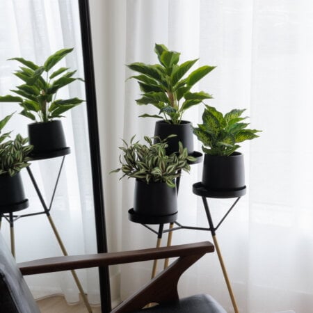 Tige d'aglaonéma vert deux tons artificiel, 10'' - Décors Véronneau