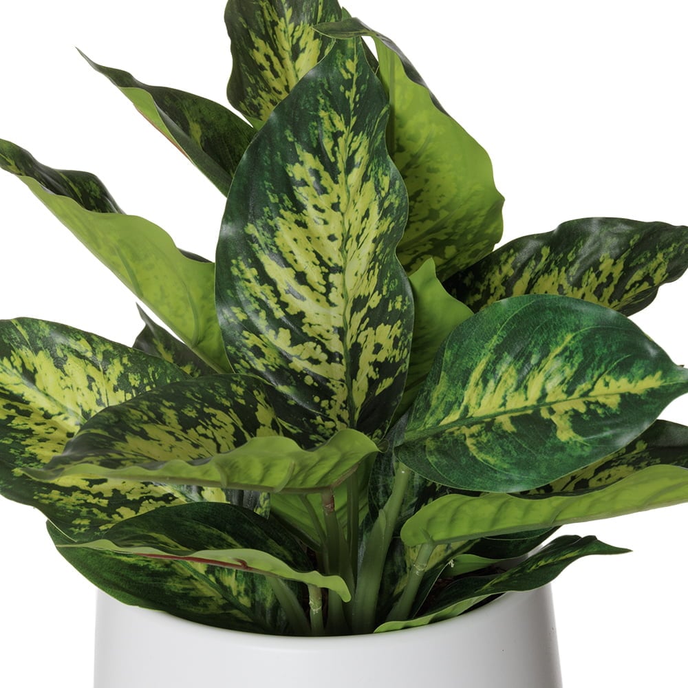 Aglaonéma vert artificiel en pot blanc – Image 2 - Décors Véronneau