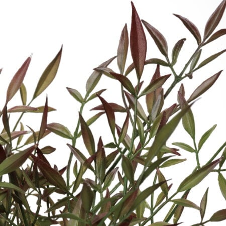 Herbes foncées artificielles en pot bleu - Décors Véronneau