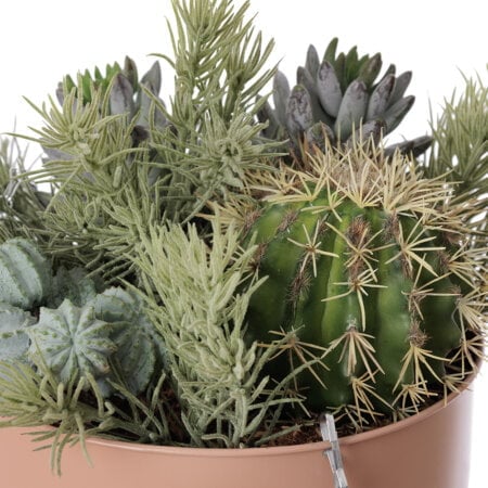 Jardinière suspendue de succulentes artificielles - Décors Véronneau