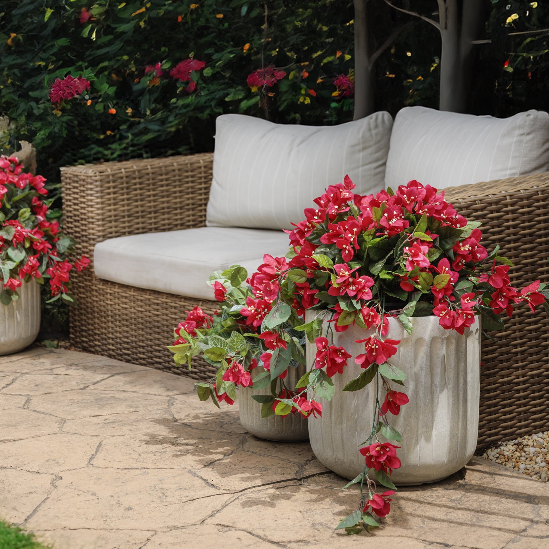 Bougainvillier rouge - Décors Véronneau