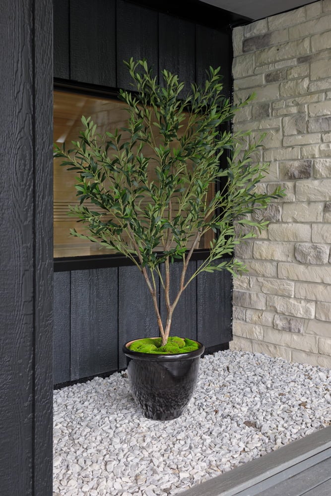 Olivier sur des galets - Décors Véronneau