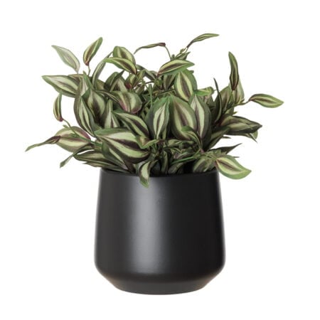 Petite plante de tradescantia artificiel en pot noir